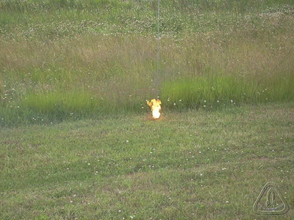 2013 Suche 29062013 Olivera